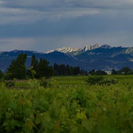 Maison D'Hotes Le Mas Des Vignes Otel Rochegude  Dış mekan fotoğraf