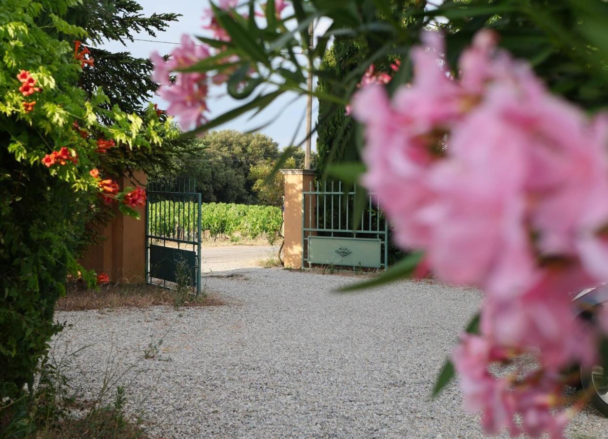Maison D'Hotes Le Mas Des Vignes Otel Rochegude  Dış mekan fotoğraf