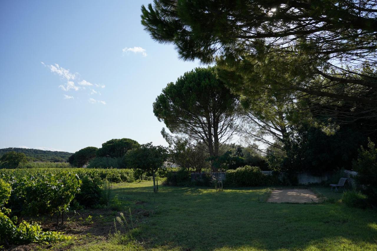 Maison D'Hotes Le Mas Des Vignes Otel Rochegude  Dış mekan fotoğraf