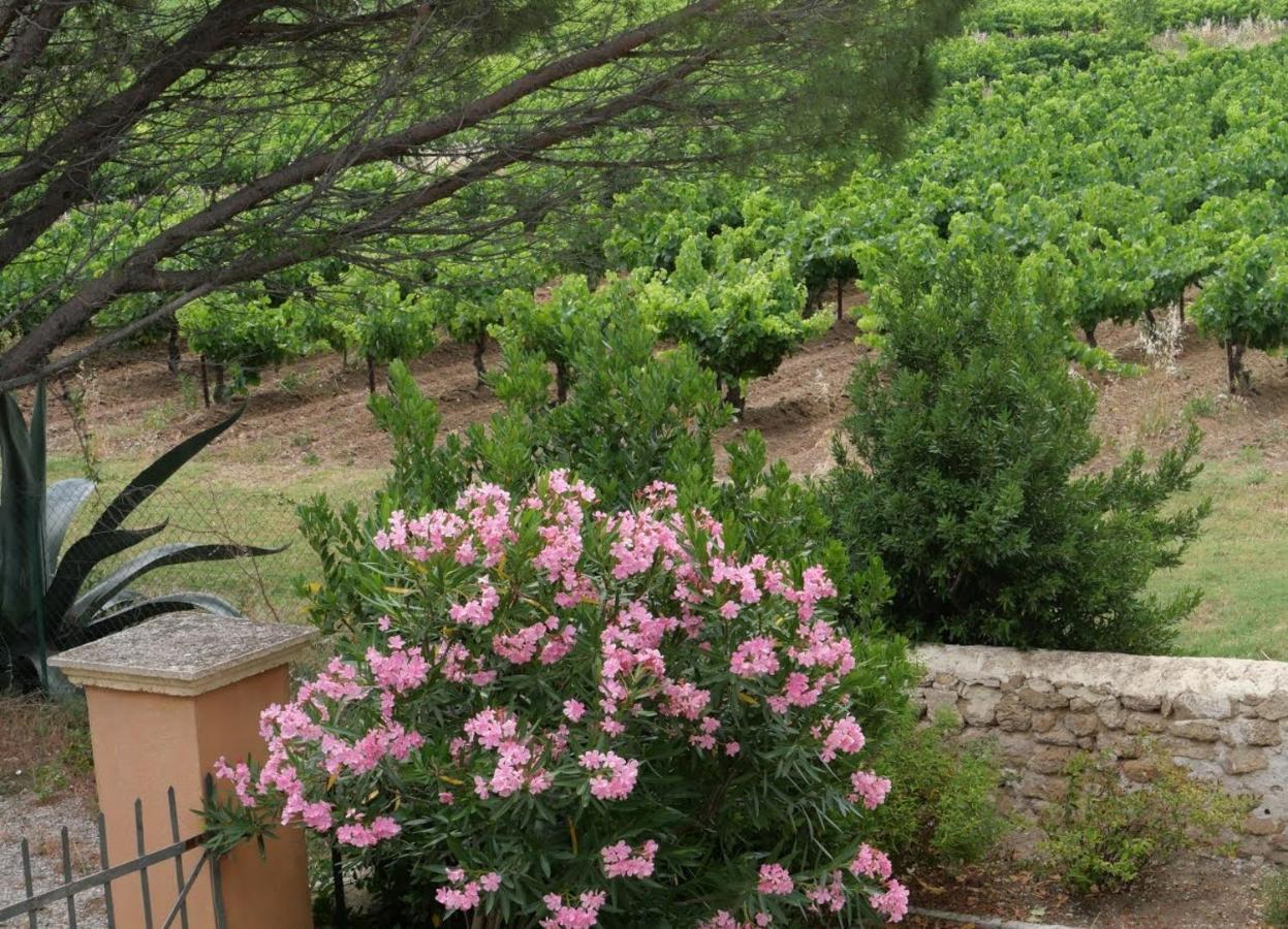 Maison D'Hotes Le Mas Des Vignes Otel Rochegude  Dış mekan fotoğraf
