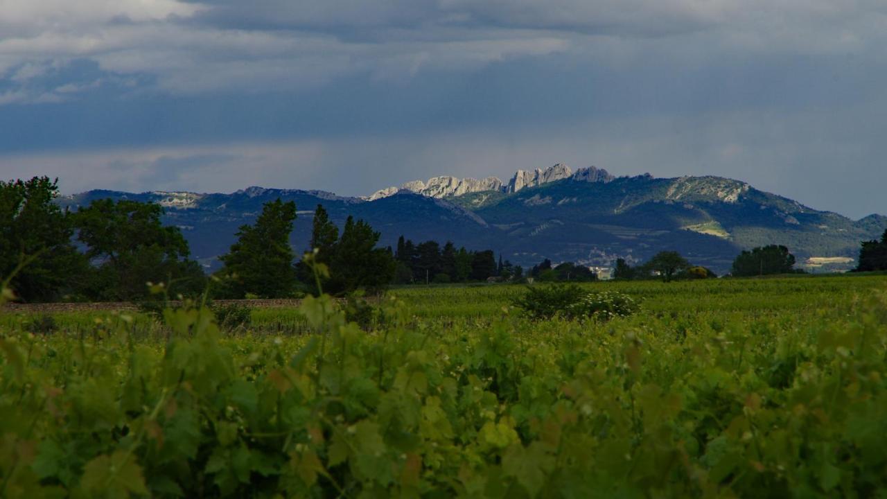 Maison D'Hotes Le Mas Des Vignes Otel Rochegude  Dış mekan fotoğraf